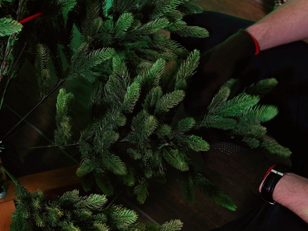 Korrektes Zurechtbiegen der Zweige