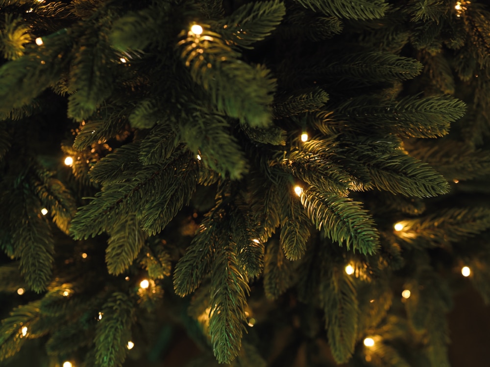 LED ZWeige Nahaufnahme