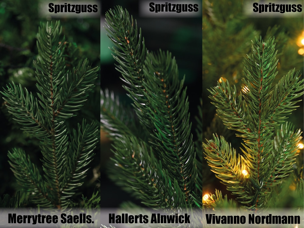 Verschiedene Nadelqualitäten: Merrytree Saellskap vs. Hallerts Alnwick vs. Vivanno Nordmann