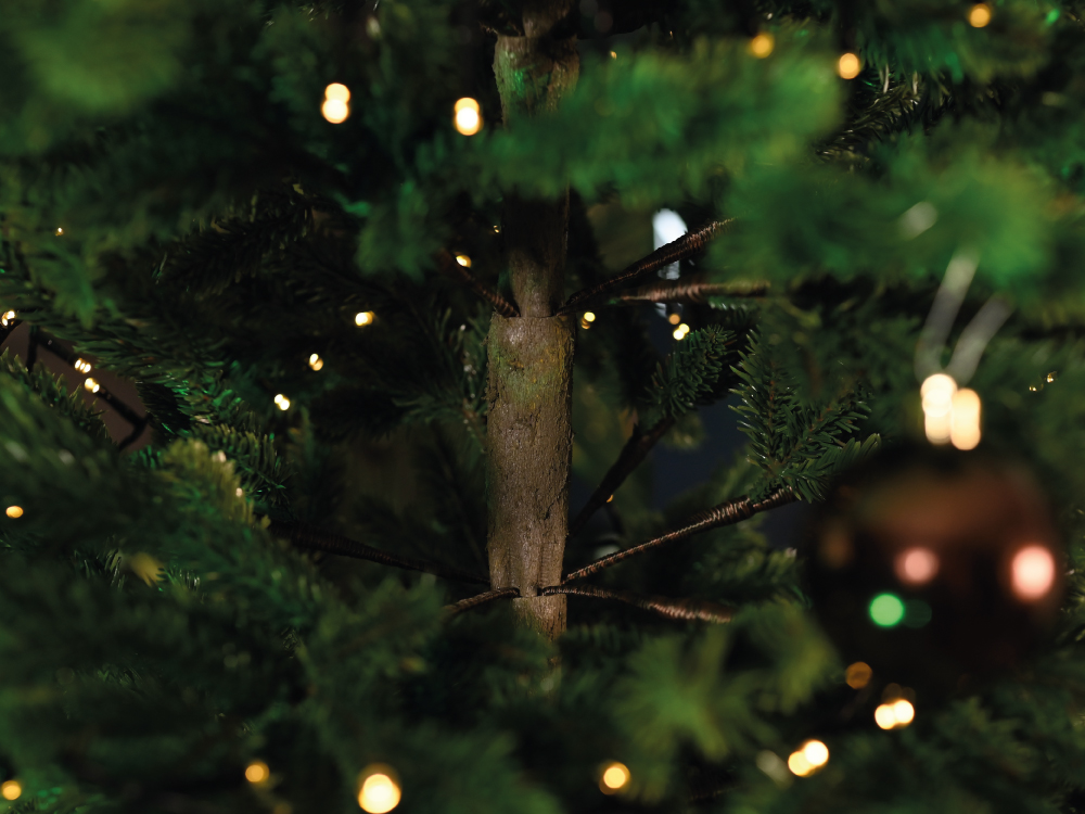 Foto des realistischen Stammes