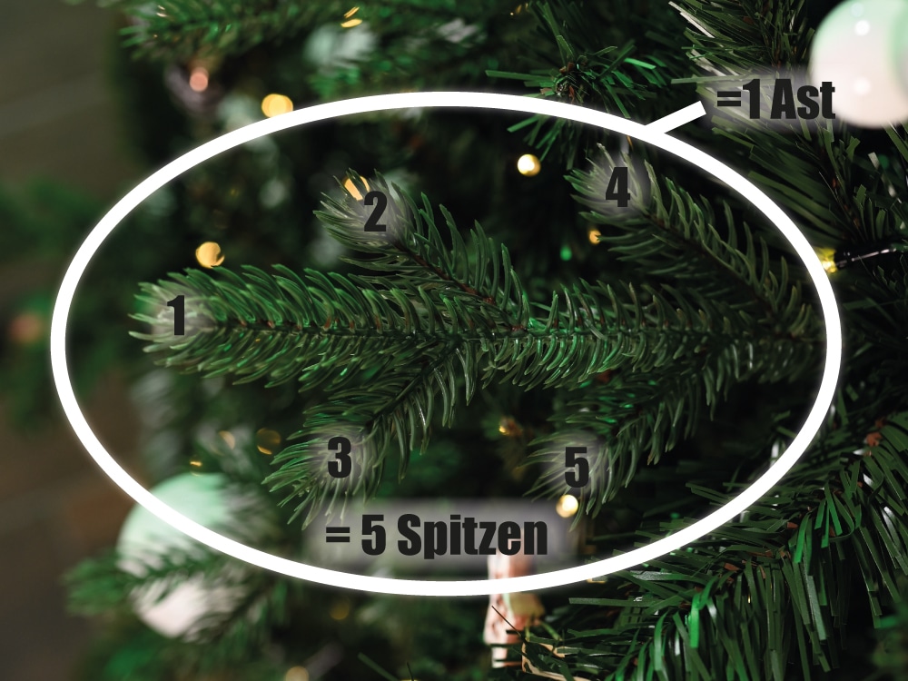 Unterschied zwischen Ästen und Spitzen bei der Saellskap