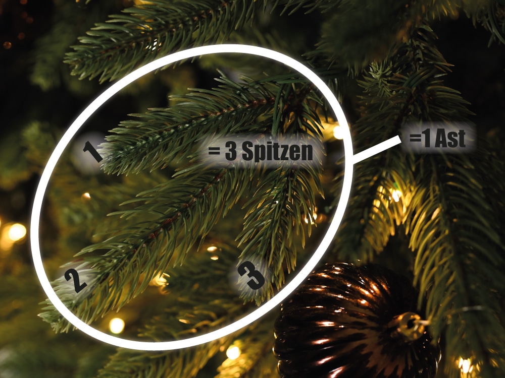 Spitzen vs. Äste Zählweise
